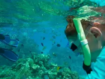 snorkeling-tahiti-coral-gardens
